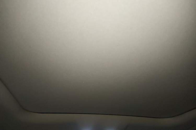 Used Leapmotor C11 2023 Range-Extended 200 Comfort Edition Headliner
