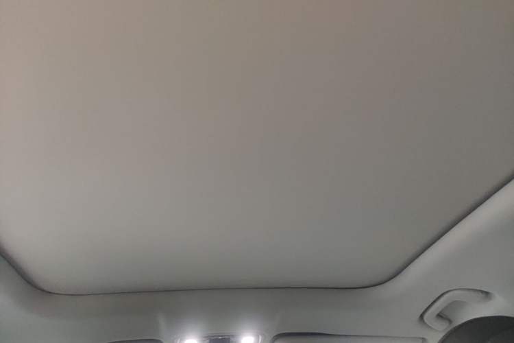 Used Leapmotor C11 2023 Pure Electric 500 Comfort Edition Headliner