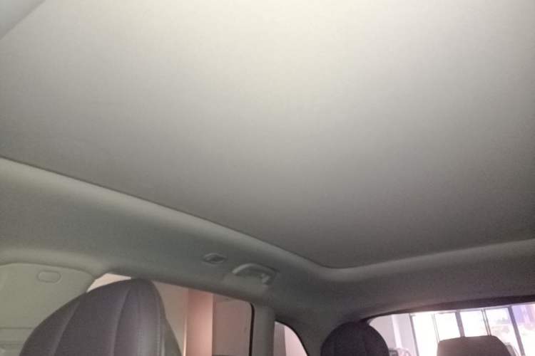 Used Leapmotor C11 2023 Range-Extended 180 Comfort Edition Headliner