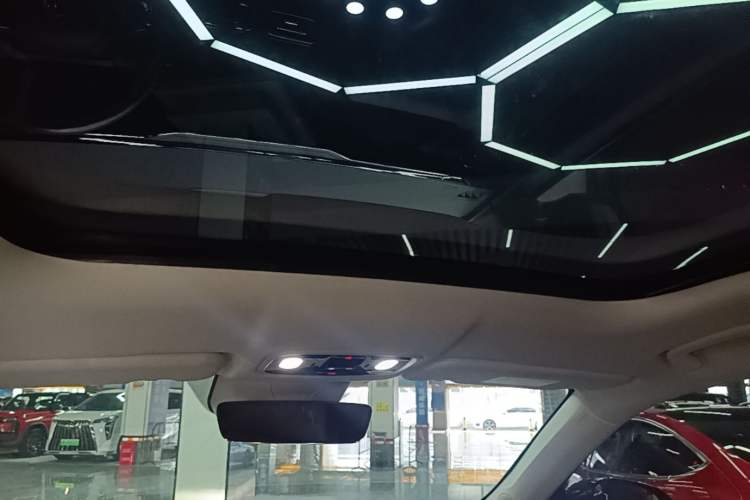 Used Leapmotor C11 2023 Range-Extended 300 Smart Enjoyment Edition Headliner