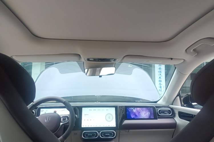 Used Leapmotor C11 2023 Pure Electric 500 Comfort Edition Headliner