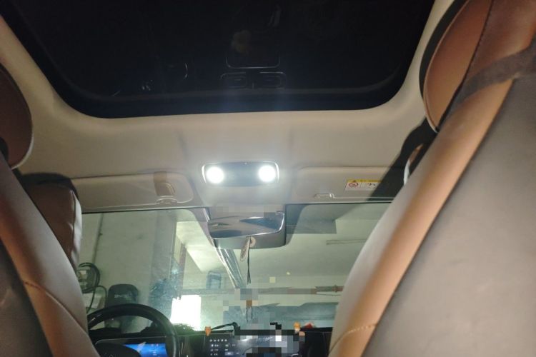 Used Leapmotor C11 2023 Pure Electric 500 Zhixing Edition Headliner