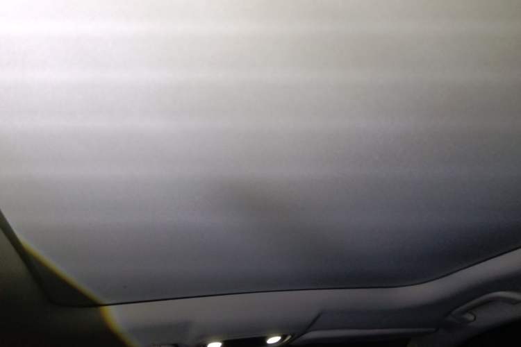 Used Leapmotor C11 2023 Pure Electric 500 Comfort Edition Headliner