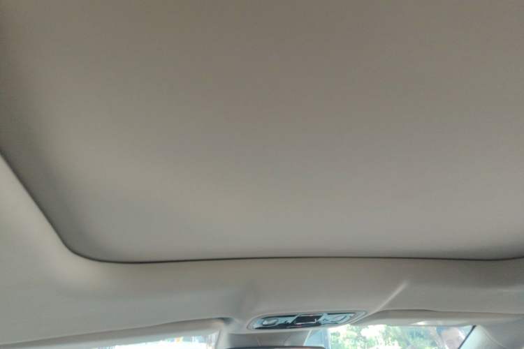 Used Leapmotor C11 2023 Pure Electric 500 Smart Edition Headliner