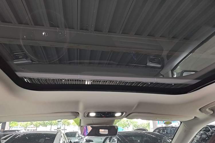 Used Leapmotor C11 2023 Pure Electric 500 Smart Edition Headliner