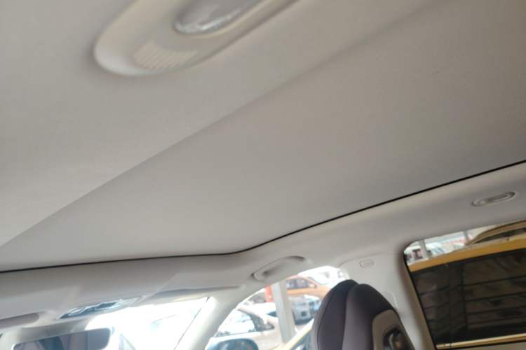 Used Leapmotor C11 2023 Pure Electric 500 Smart Edition Headliner