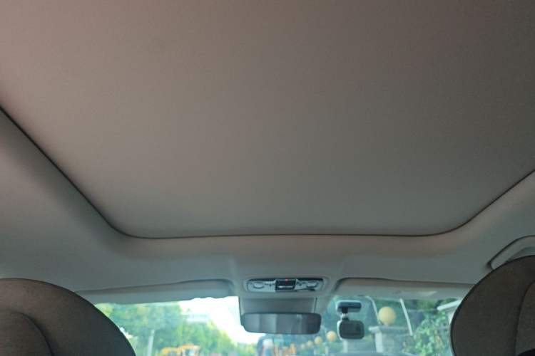Used Leapmotor C11 2023 Pure Electric 500 Comfort Edition Headliner