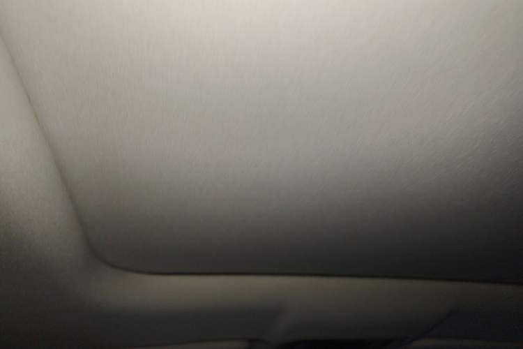 Used Leapmotor C11 2023 Range-Extended 300 Comfort Edition Headliner
