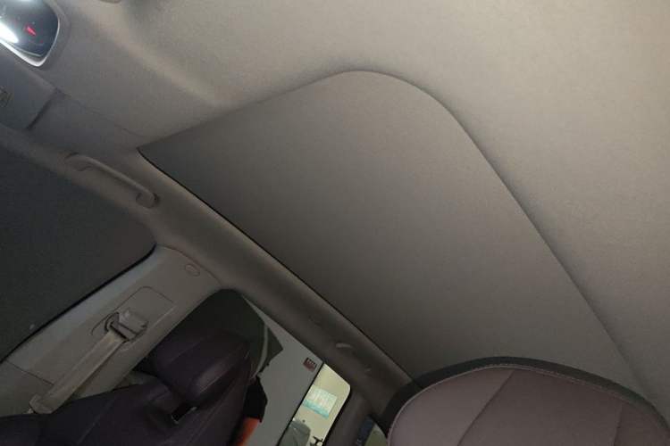 Used Leapmotor C11 2023 Range-Extended 300 Smart Enjoyment Edition Headliner