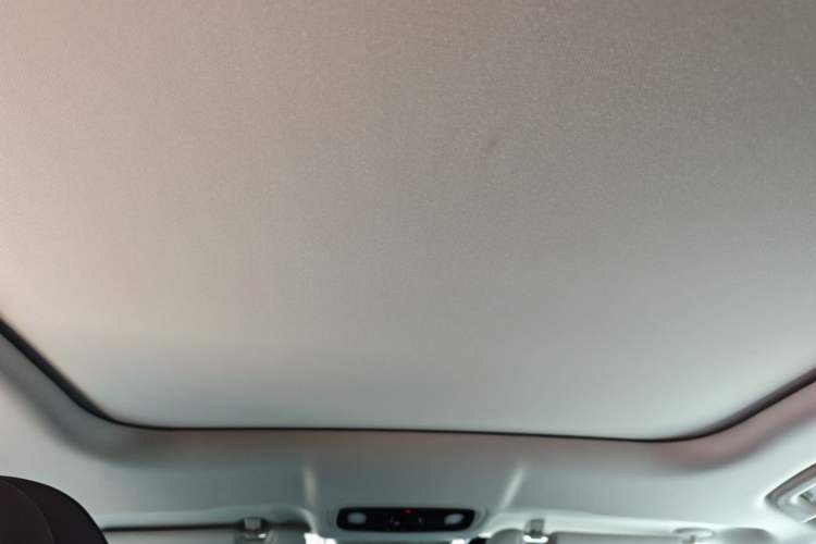 Used Leapmotor C11 2023 Range-Extended 300 Smart Enjoyment Edition Headliner