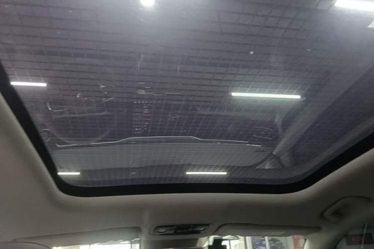 Used Leapmotor C11 2023 Range-Extended 180 Comfort Edition Headliner