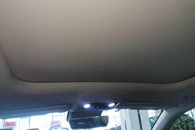 Used Leapmotor C11 2023 Pure Electric 500 Zhixing Edition Headliner