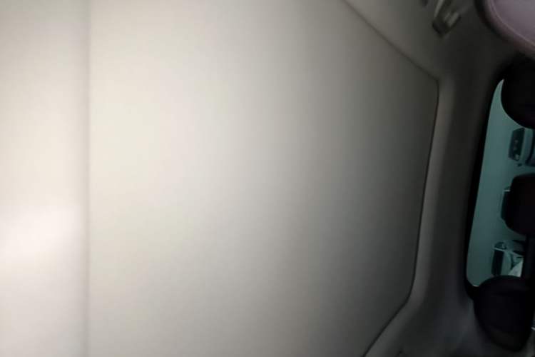 Used Leapmotor C11 2023 Range-Extended 300 Comfort Edition Headliner