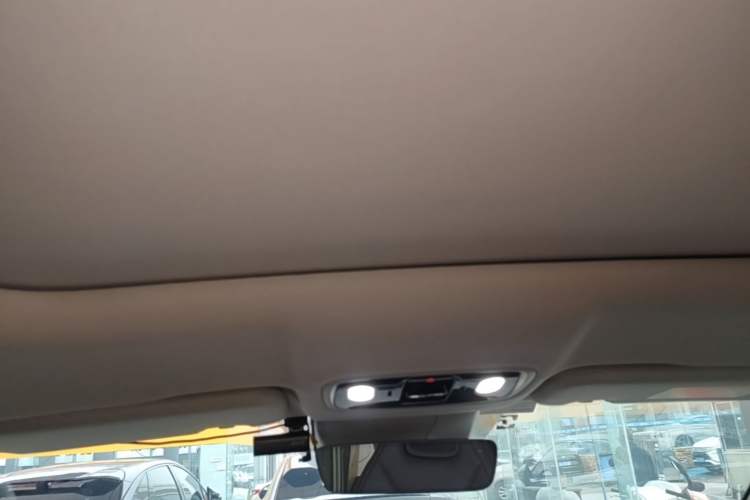 Used Leapmotor C11 2023 Pure Electric 500 Comfort Edition Headliner