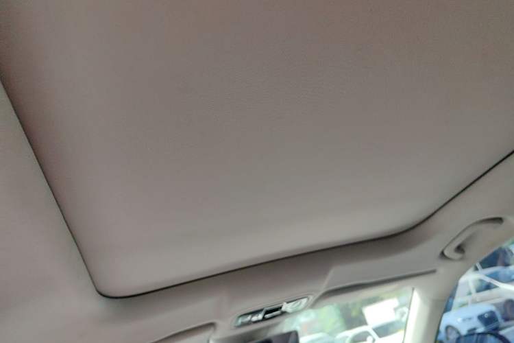 Used Leapmotor C11 2023 Range-Extended 180 Comfort Edition Headliner