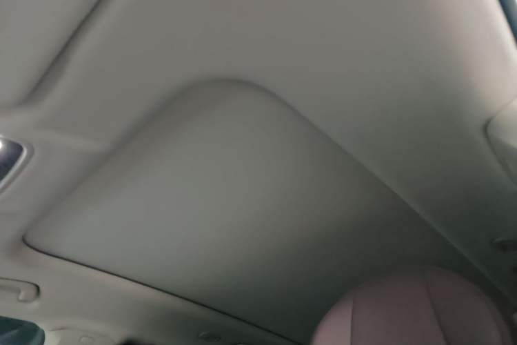 Used Leapmotor C11 2023 Pure Electric 500 Comfort Edition Headliner