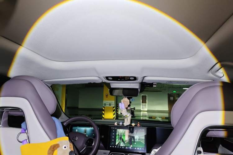 Used Leapmotor C11 2023 Pure Electric 500 Comfort Edition Headliner