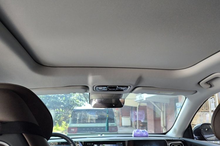 Used Leapmotor C11 2023 Pure Electric 500 Comfort Edition Headliner