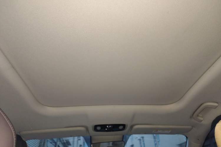 Used Leapmotor C11 2023 Pure Electric 500 Comfort Edition Headliner