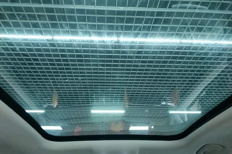Used Leapmotor C11 2023 Pure Electric 500 Comfort Edition Headliner