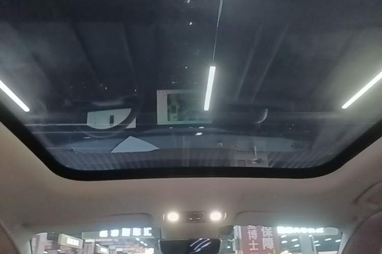 Used Leapmotor C11 2023 Pure Electric 500 Smart Edition Headliner
