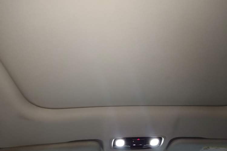 Used Leapmotor C11 2023 Pure Electric 500 Comfort Edition Headliner