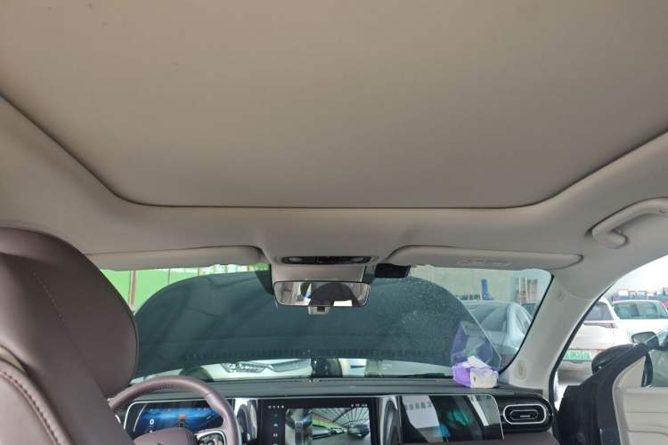 Used Leapmotor C11 2023 Extended-Range 285 Comfort Edition Headliner