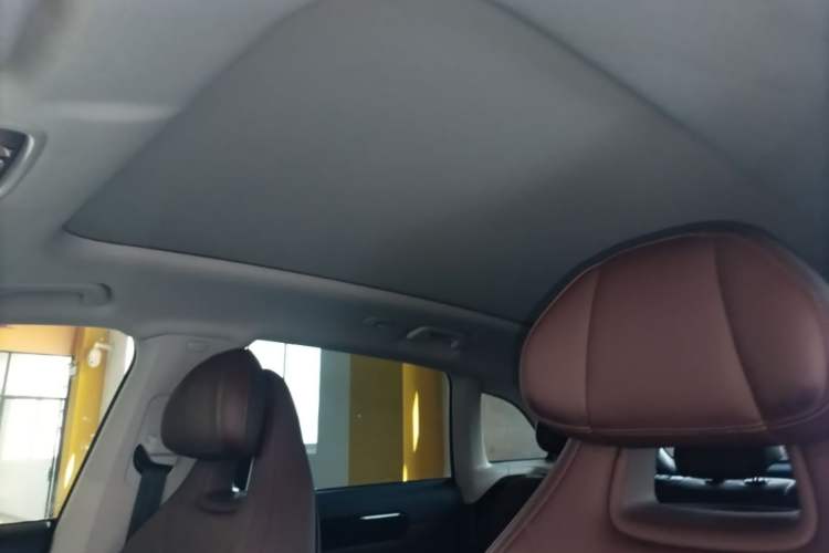 Used Leapmotor C11 2023 Pure Electric 500 Comfort Edition Headliner