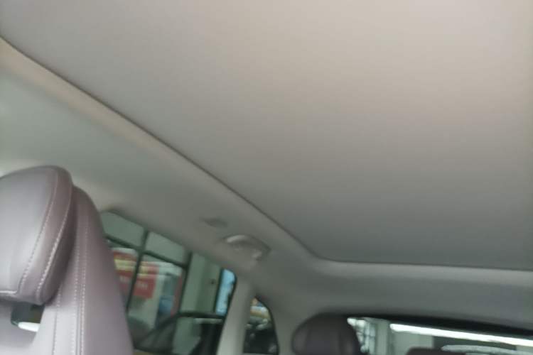Used Leapmotor C11 2023 Pure Electric 500 Comfort Edition Headliner