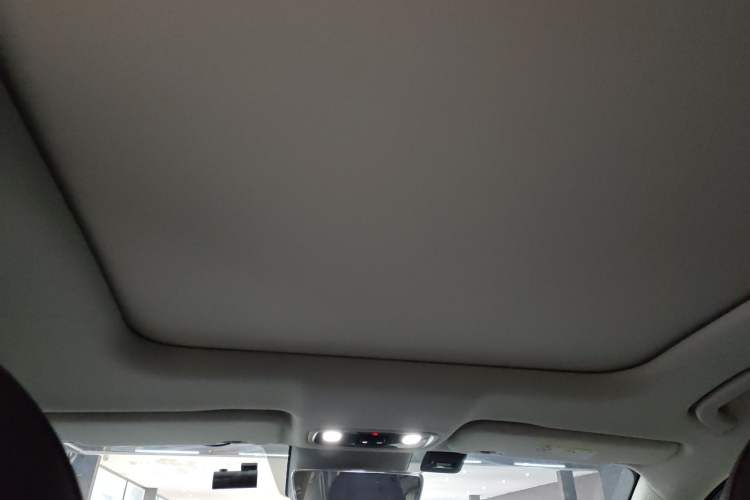 Used Leapmotor C11 2023 Extended-Range 285 Comfort Edition Headliner