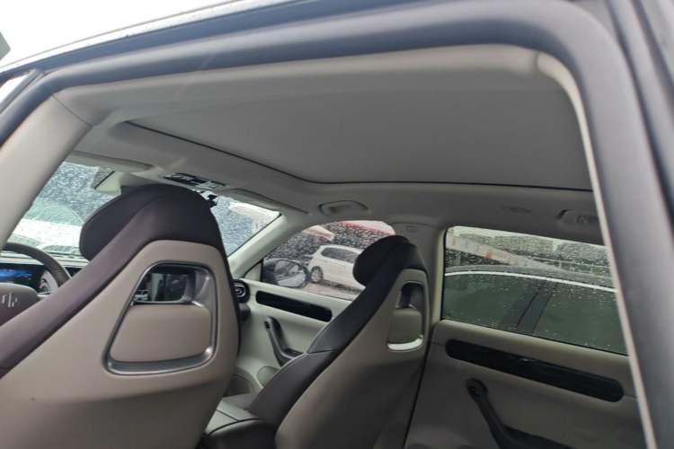 Used Leapmotor C11 2023 Pure Electric 500 Comfort Edition Headliner