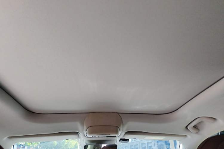 Used Leapmotor C11 2023 Pure Electric 500 Comfort Edition Headliner