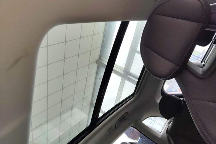 Used Leapmotor C11 2023 Pure Electric 500 Smart Edition Headliner
