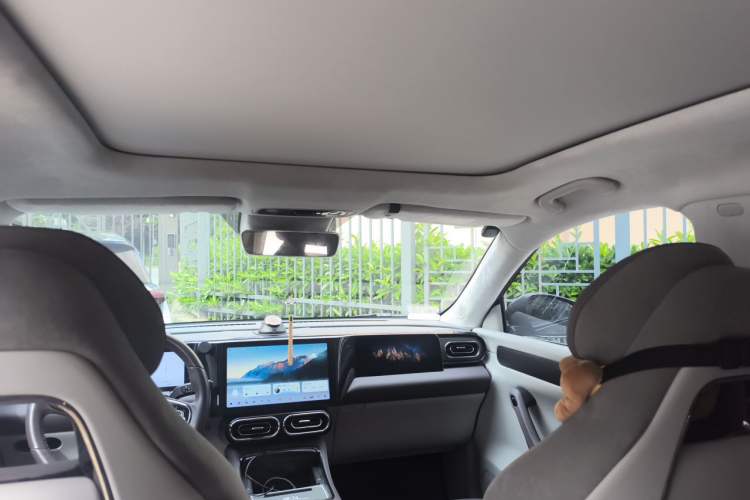 Used Leapmotor C11 2023 Pure Electric 580 All-Wheel-Drive Performance Edition Headliner