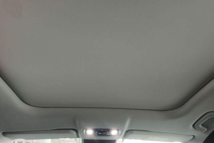 Used Leapmotor C11 2023 Pure Electric 500 Comfort Edition Headliner