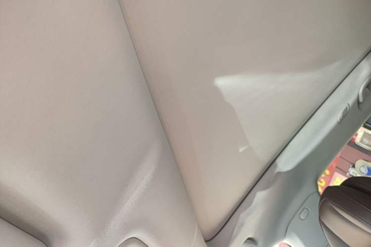 Used Leapmotor C11 2023 Pure Electric 500 Comfort Edition Headliner