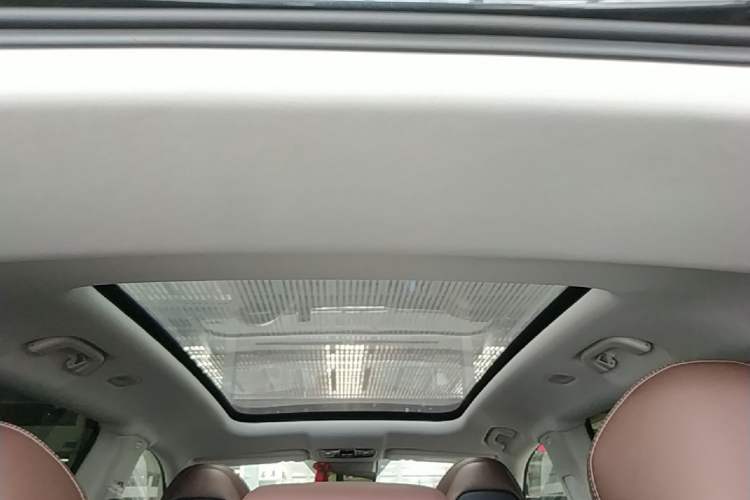 Used Leapmotor C11 2023 Range-Extended 300 Smart Enjoyment Edition Headliner