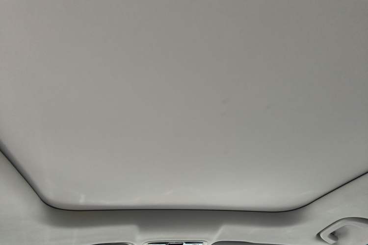 Used Leapmotor C11 2023 Range-Extended 180 Comfort Edition Headliner