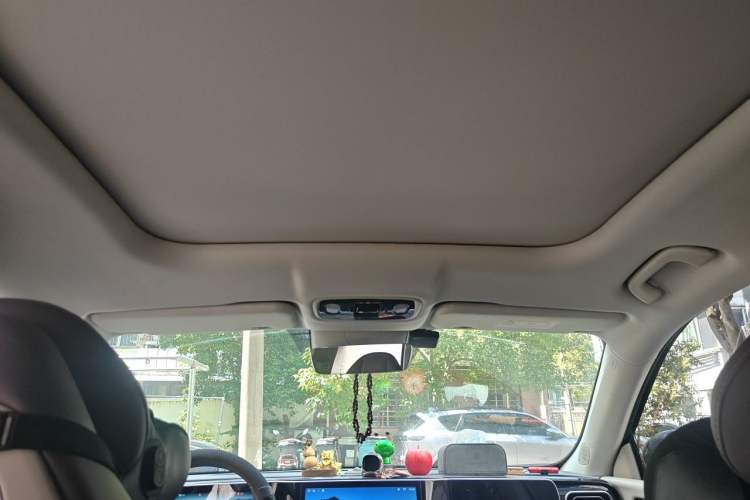 Used Leapmotor C11 2023 Pure Electric 500 Zhixing Edition Headliner