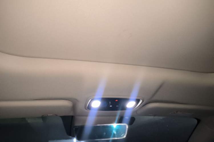 Used Leapmotor C11 2023 Pure Electric 500 Comfort Edition Headliner