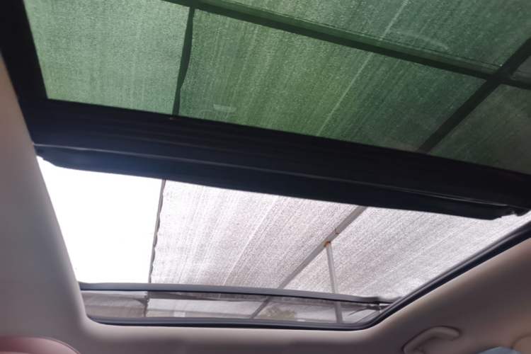 Used Leapmotor C11 2023 Pure Electric 500 Comfort Edition Headliner