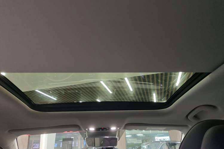 Used Leapmotor C11 2023 Extended-Range 285 Comfort Edition Headliner