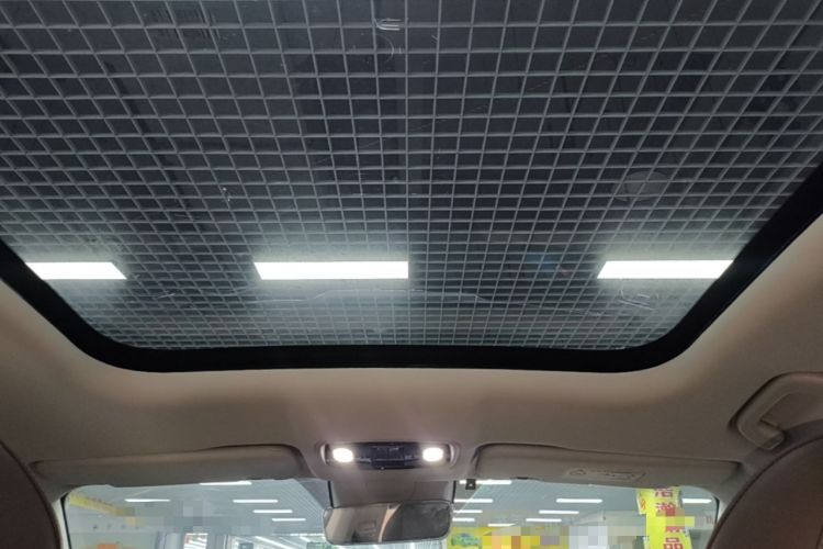 Used Leapmotor C11 2023 Pure Electric 500 Smart Edition Headliner