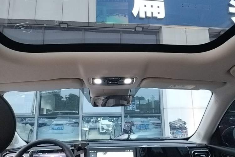 Used Leapmotor C11 2023 Pure Electric Executive Edition Headliner