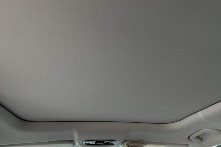 Used Leapmotor C11 2023 Range-Extended 180 Comfort Edition Headliner