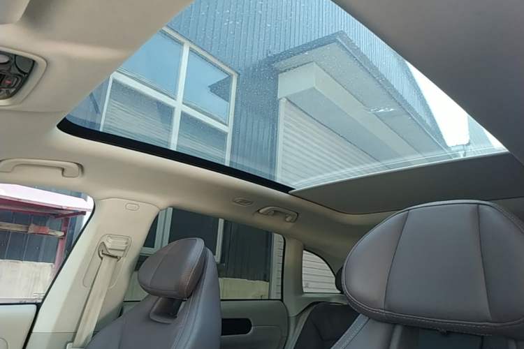 Used Leapmotor C11 2023 Pure Electric 500 Comfort Edition Headliner