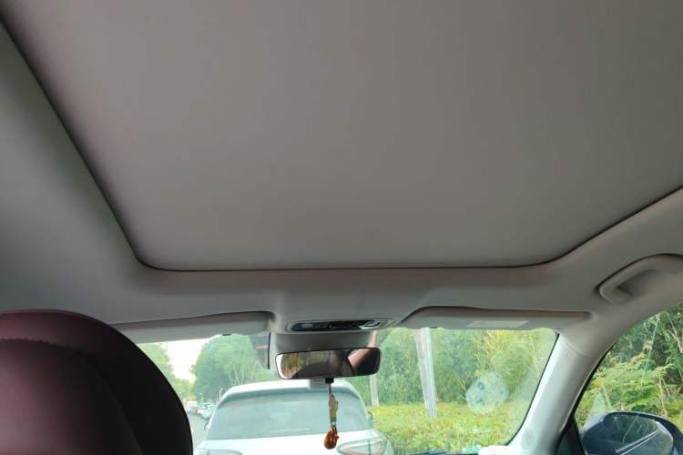 Used Leapmotor C11 2023 Pure Electric 500 Comfort Edition Headliner