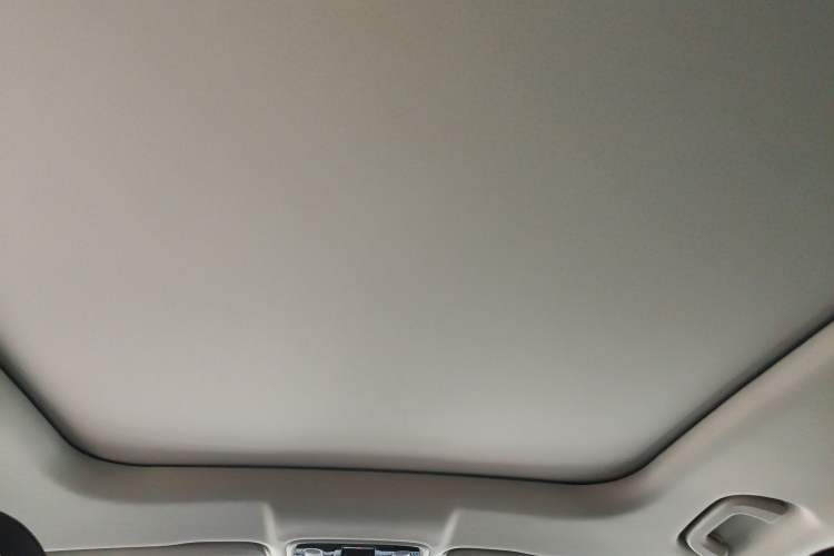 Used Leapmotor C11 2023 Range-Extended 300 Smart Enjoyment Edition Headliner