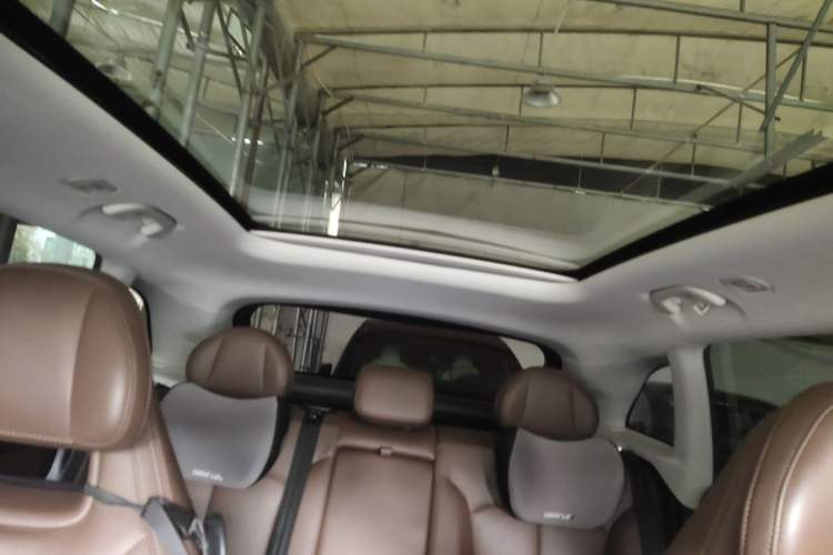 Used Leapmotor C11 2023 Extended-Range 285 Comfort Edition Headliner