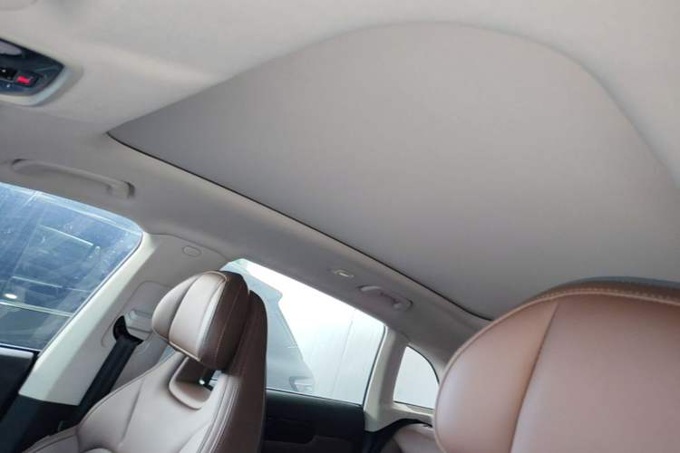 Used Leapmotor C11 2023 Pure Electric 500 Comfort Edition Headliner